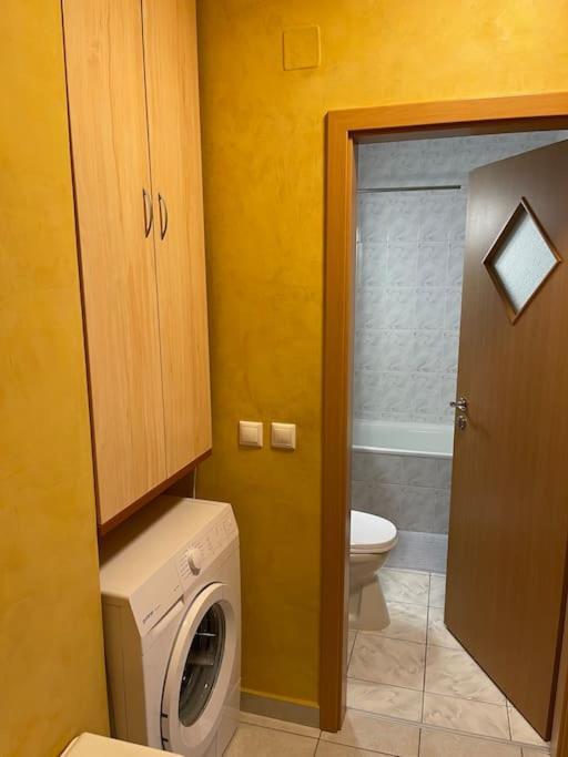 Apartment Superb Intr-O Locatie Premium 蒂米什瓦拉 外观 照片